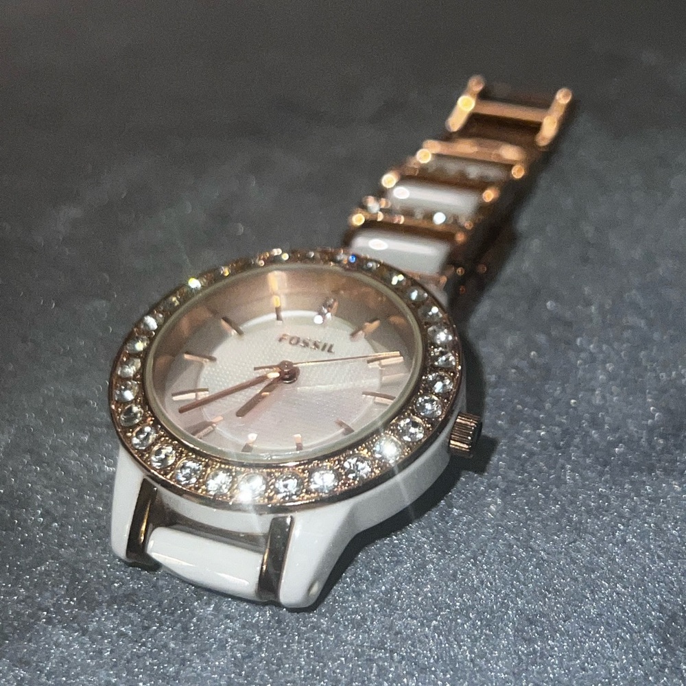 Fossil Watch